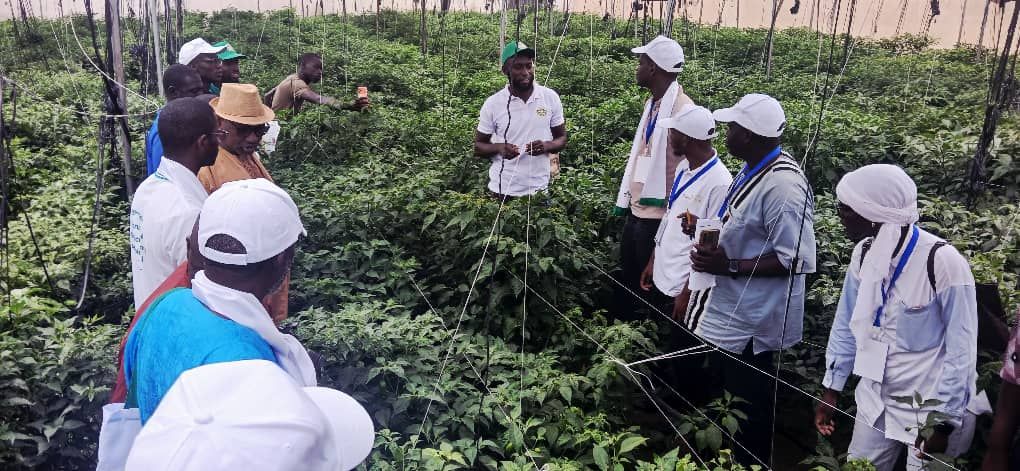 Experts agricoles sur le terrain